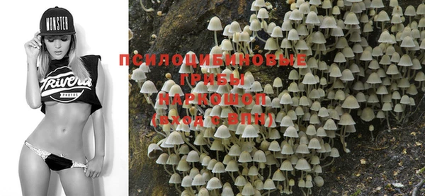 прущая мука Алзамай